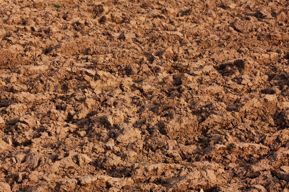 Brown cultivated dirt