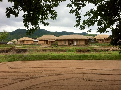 Thatch roofed hose home nature photo