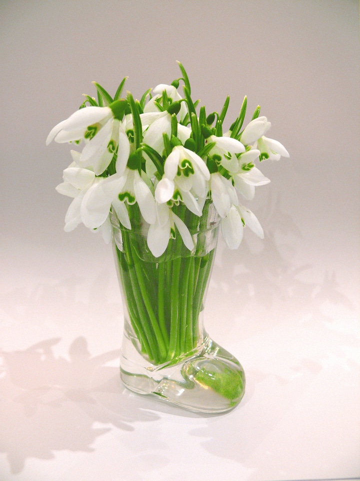 Flower macro vase