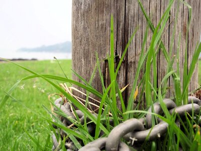 Nature green chained