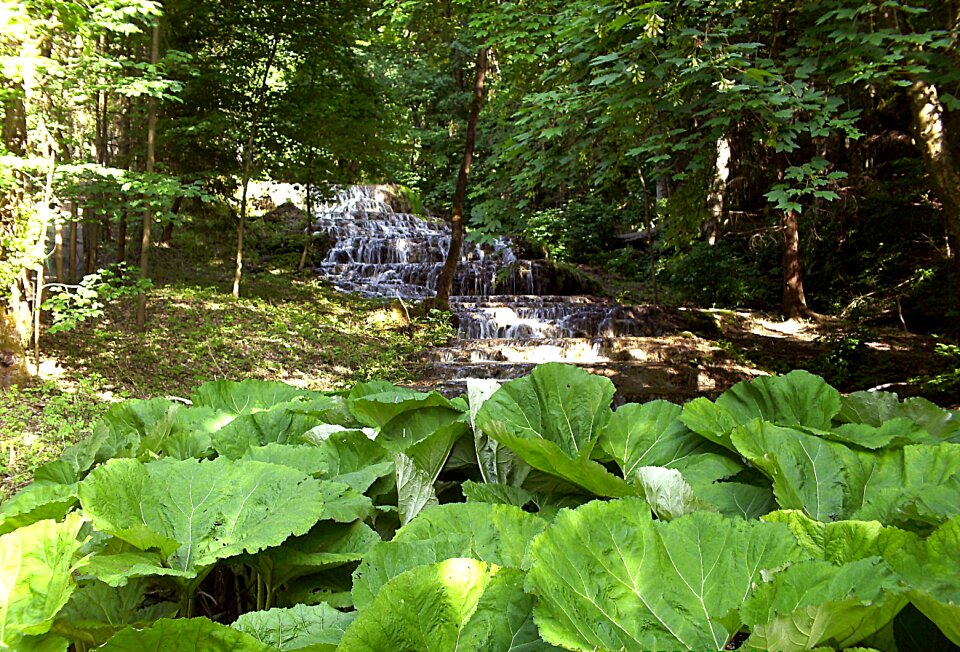 Szilvásvárad nature water