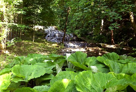 Szilvásvárad nature water