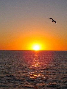 Sunset beach ocean photo