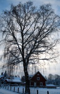 Snow blue blue white