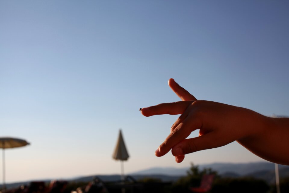 Ladybug fingers hand
