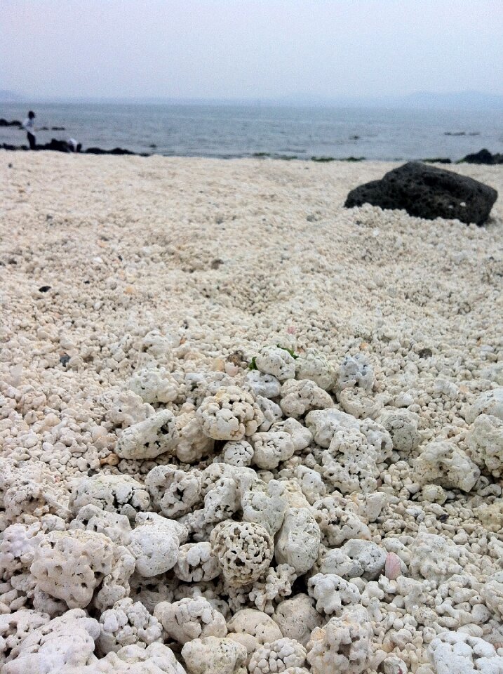 Jeju coral beach sea