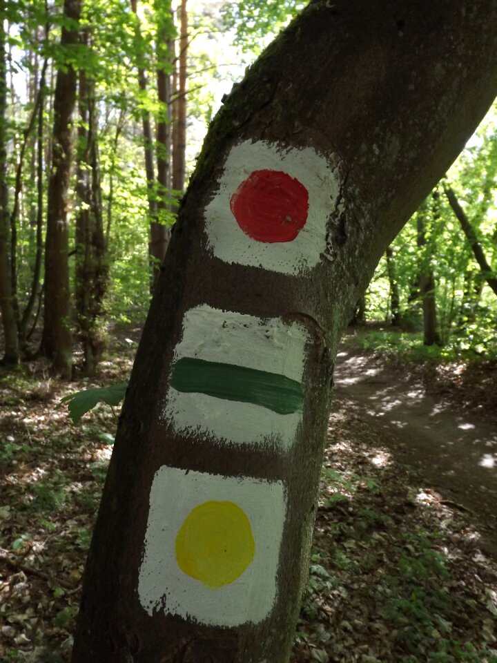 Waymarks forest nature