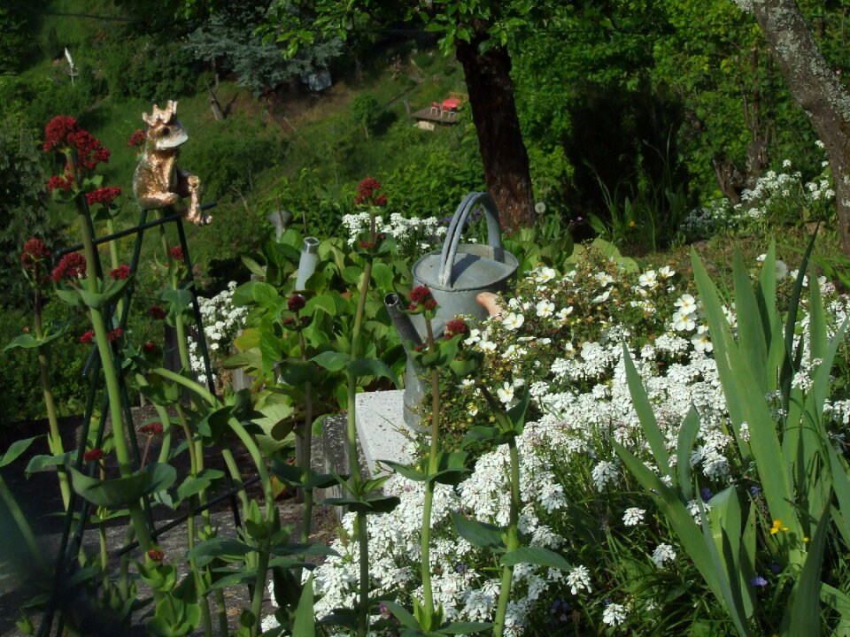 Spring flowers flower bed