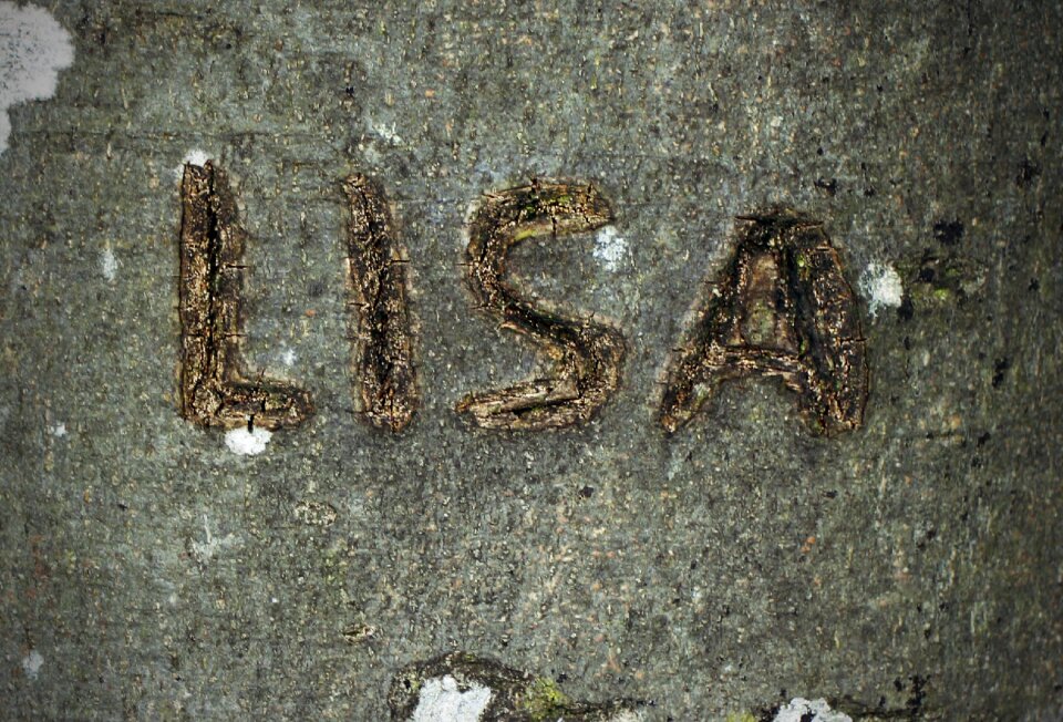 Engraved eingeritzter tree letters