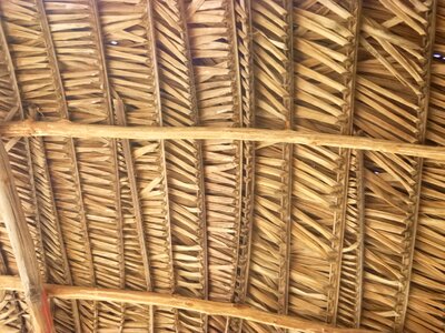 Roof braided leaves cabin
