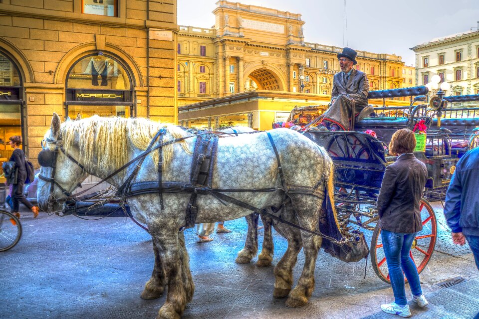 Horse and cart animal architecture