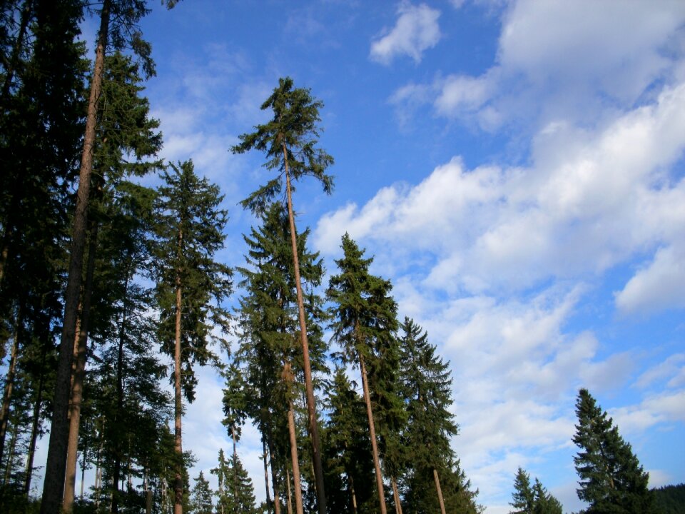 Clouds sky nature