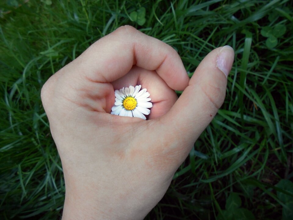 Secret yellow white