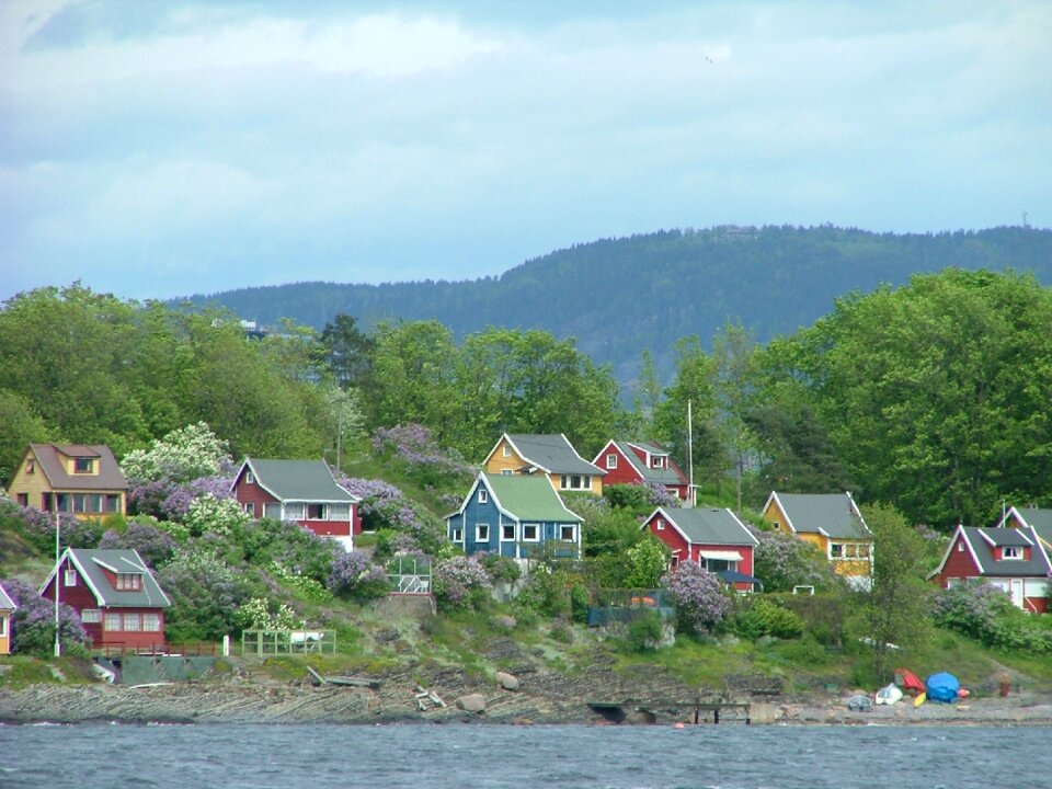 Fjord scenic hillside