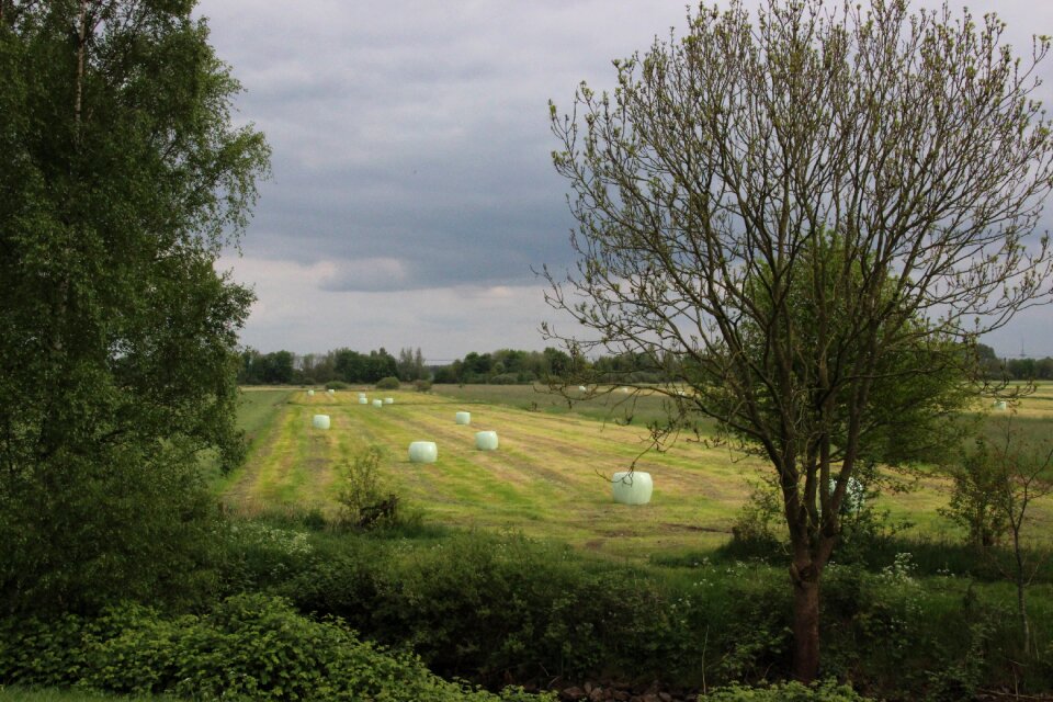 Agriculture harvest food
