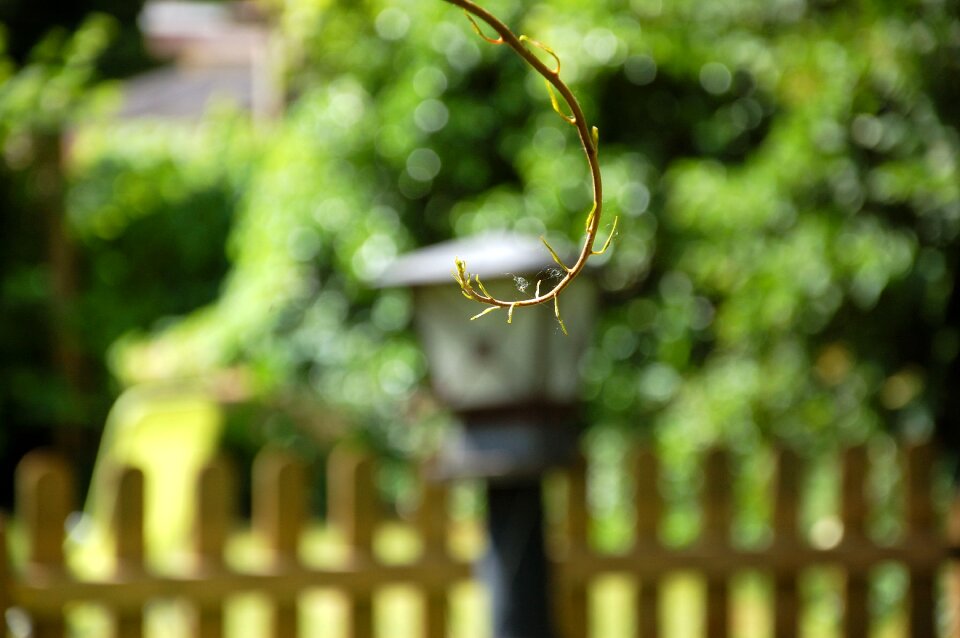 Summer spider webs blur