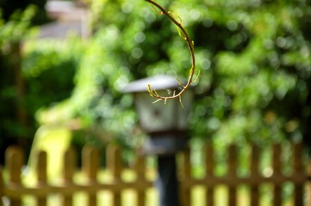 Summer spider webs blur