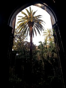 Spain vacations palm