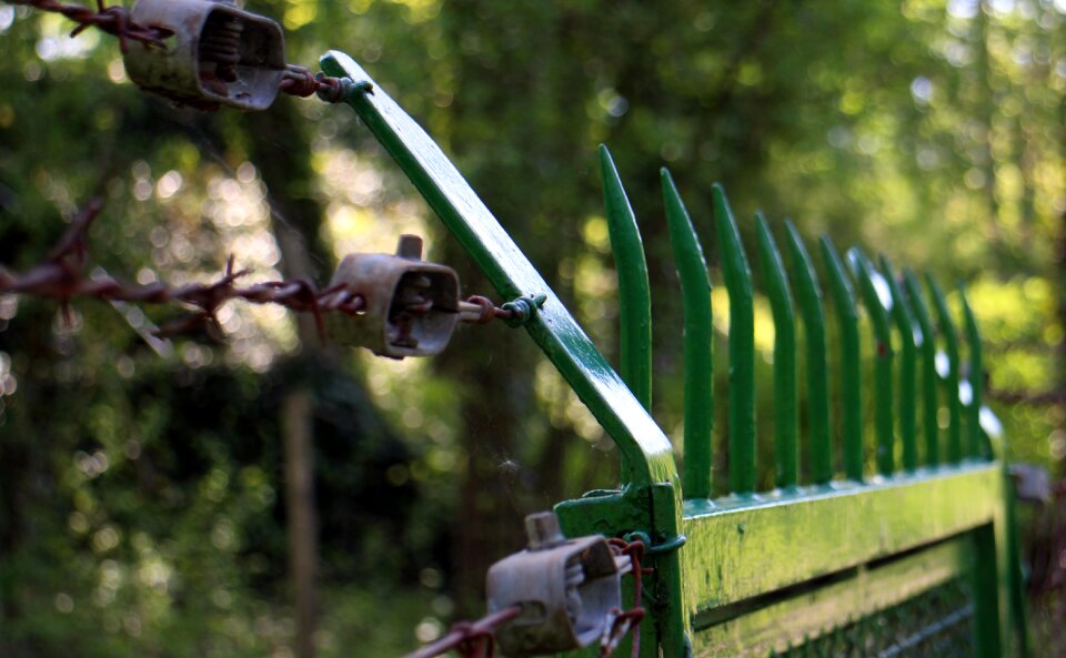 Barbed wire iron tips fence