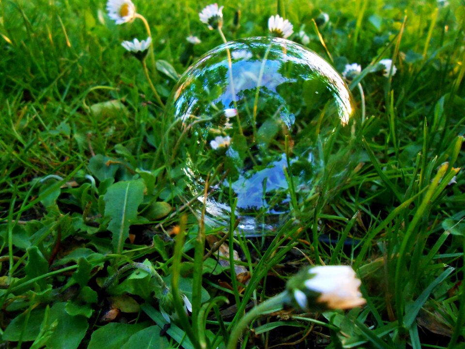 Foliage straws bubble