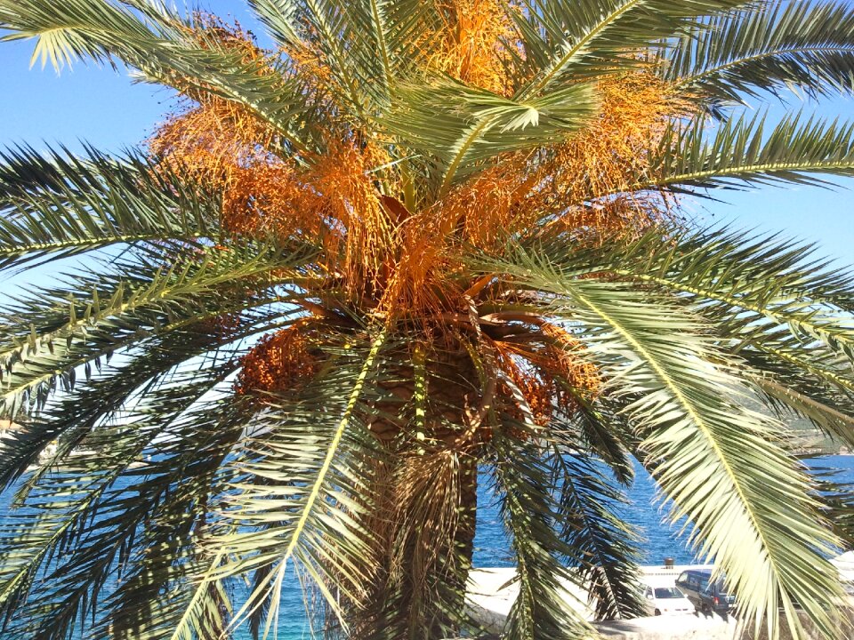 Beach holiday canary islands