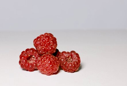Fruit appetizing closeup