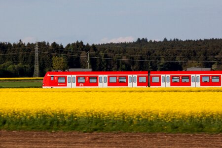 Red train mobile