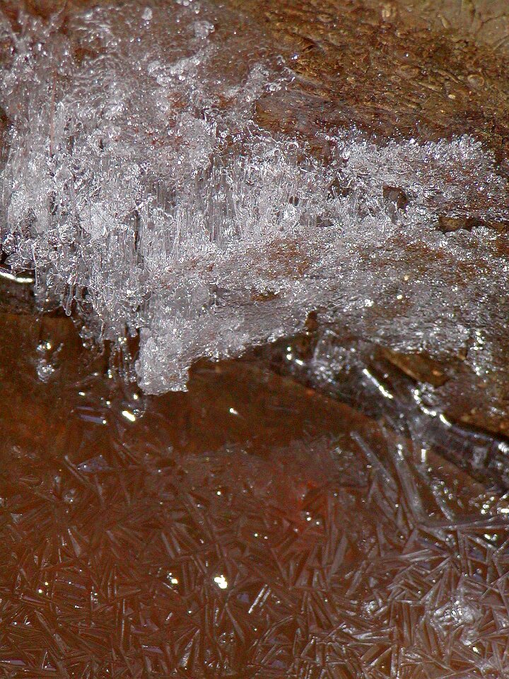 Ice fragile beauty