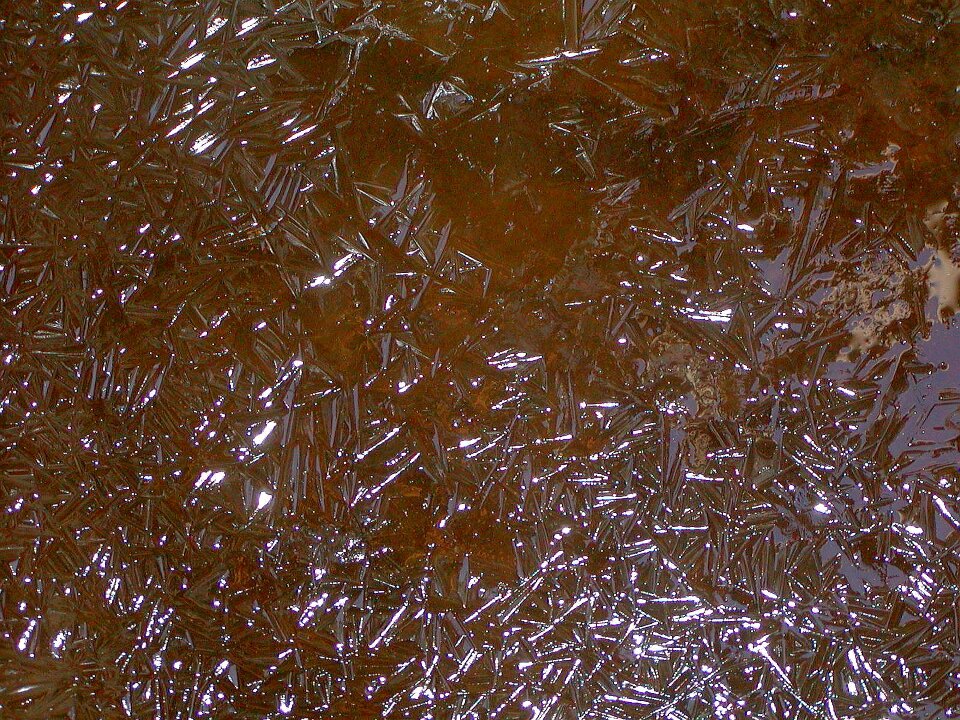 Fragile water beauty