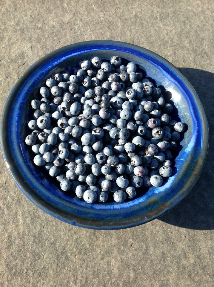 Scale summer fruit