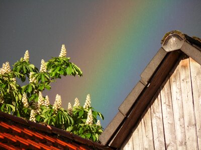 Rainbow colors housetop houses