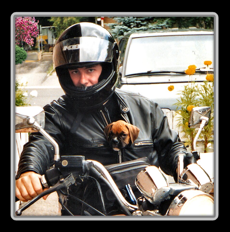 Pet man young man