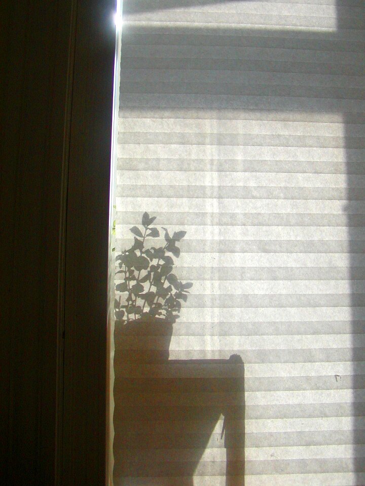 Morning light reflection