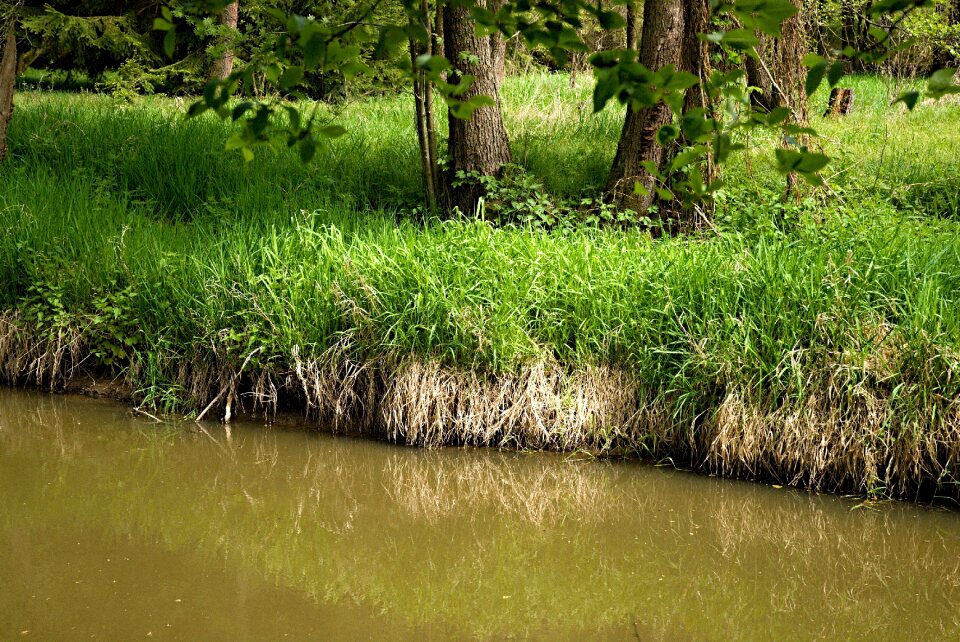 Bohemia trough water
