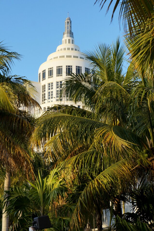 Hotel miami beach florida