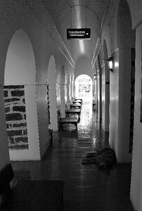Building buddhism reflection