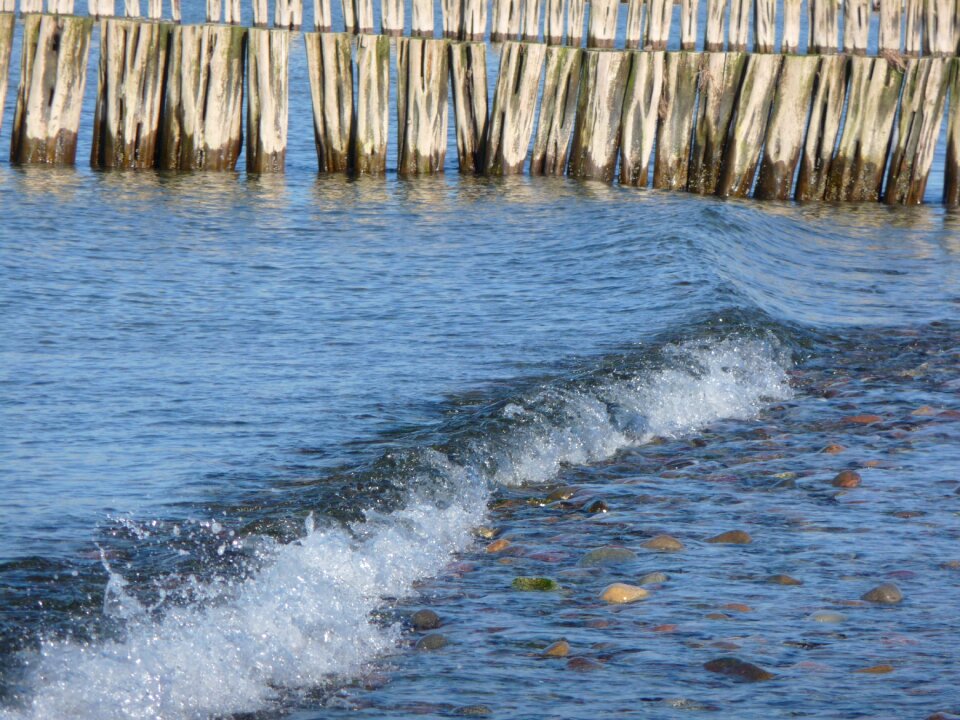 Wood wave swell
