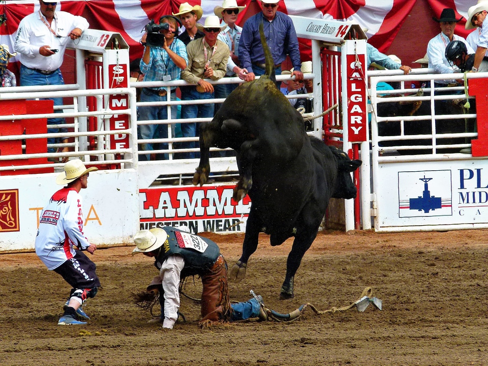 Canada outdoor activity bull riding