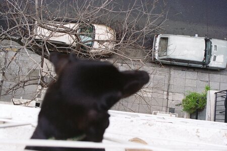 Observation cute funny