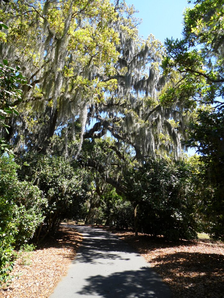 Trail park landscape