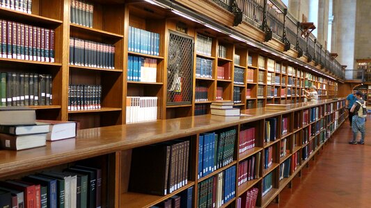 Read university new york
