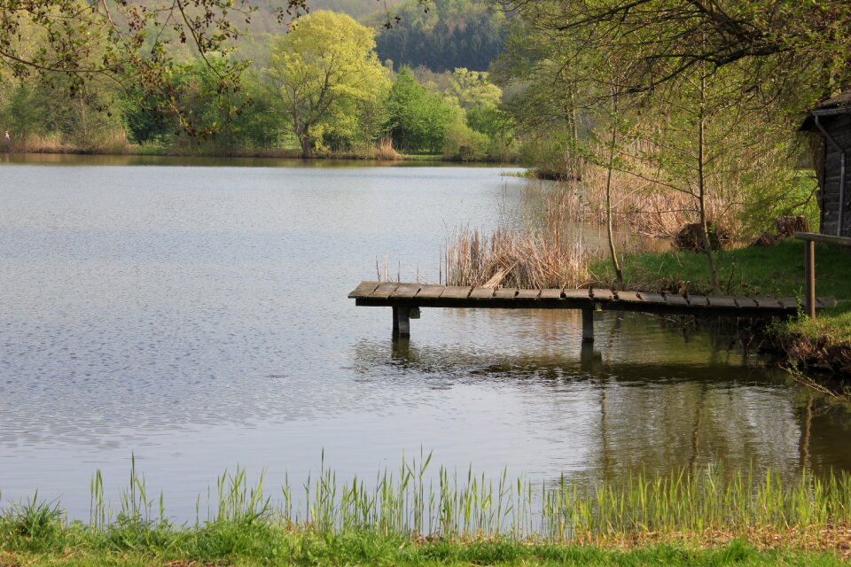 Web fishing pier waters photo