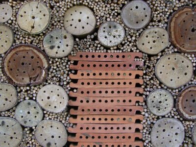 Entry openings tree grates insect house