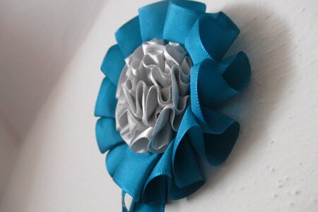 Ribbon valuation success