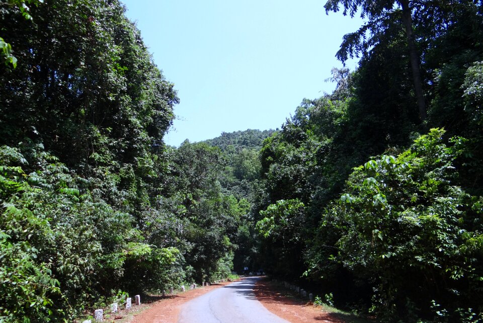 Western ghats mountains road
