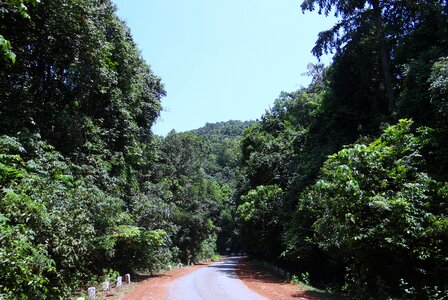 Western ghats mountains road photo