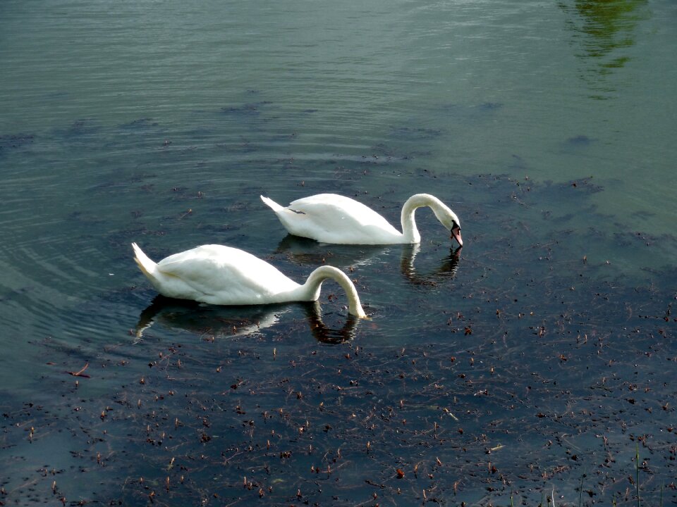 Water lake beautiful