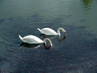 Water lake beautiful