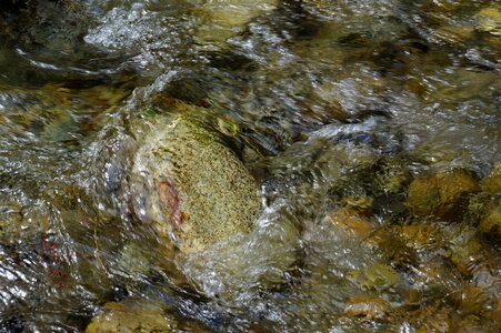 Current flowing river