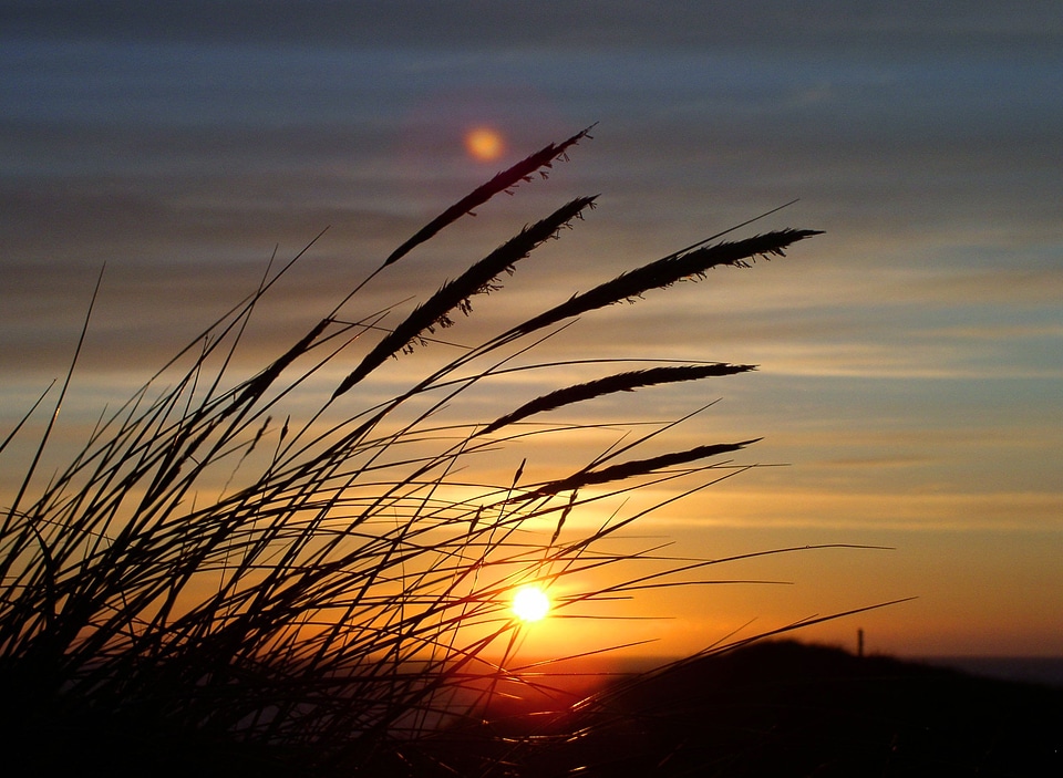 Dune denmark north sea